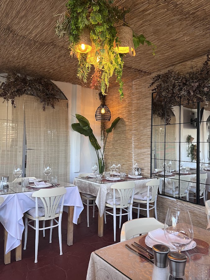 Warm interior dining room with hanging plants